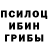 Псилоцибиновые грибы Psilocybe Helen Karpov