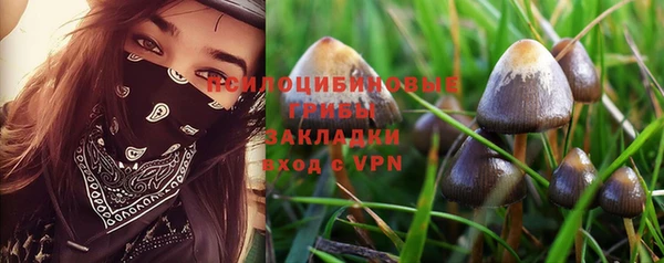 mdpv Балахна